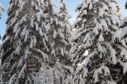 Contamines - Hauteluce le 11 janvier